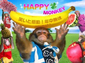 HAPPYMONKEY-s